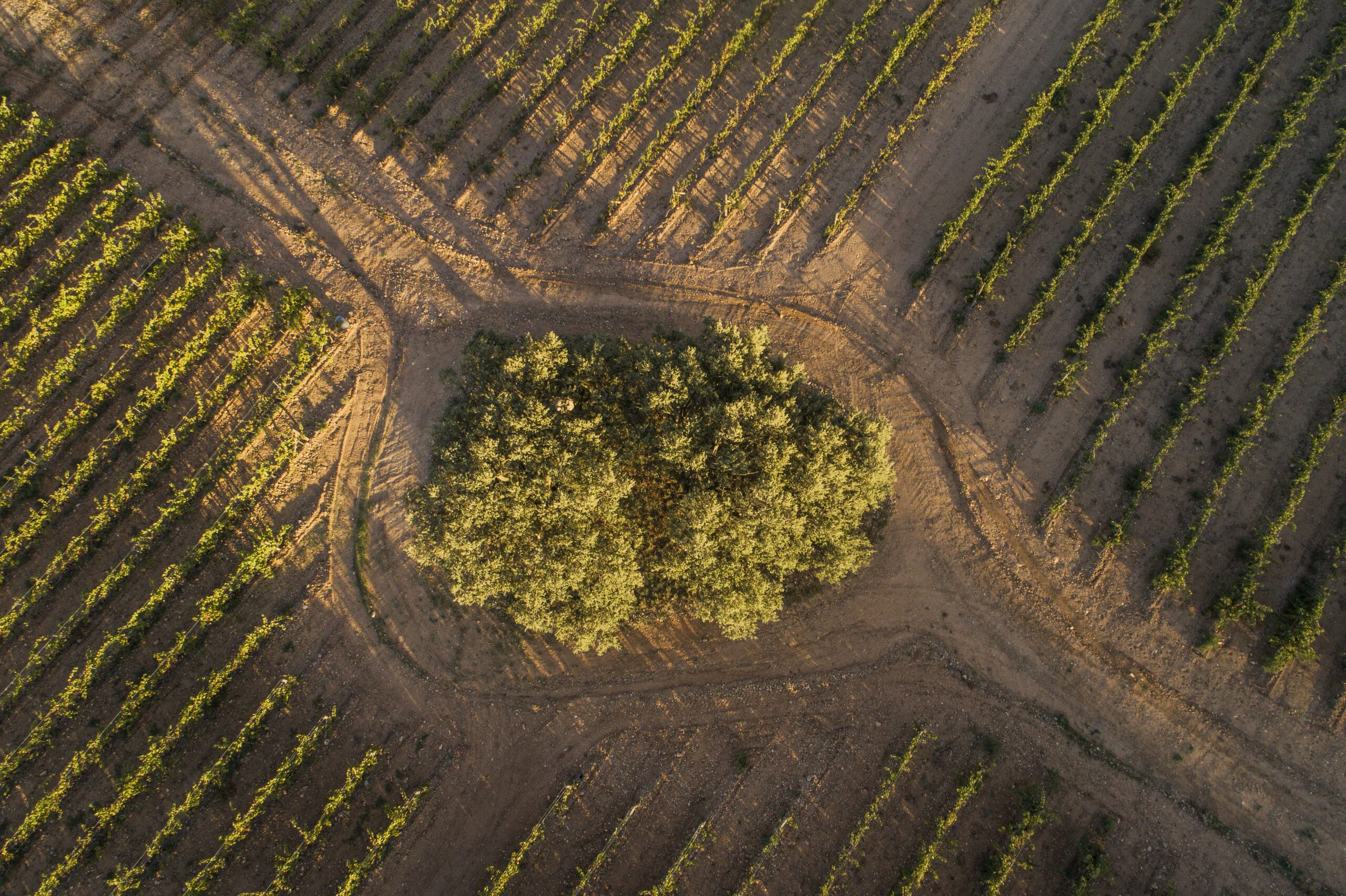 ZAMORA COMPANY REAFFIRMS ITS COMMITMENT TO SUSTAINABILITY BY RENEWING ITS MEMBERSHIP IN THE UN GLOBAL COMPACT FOR THE FOURTH YEAR